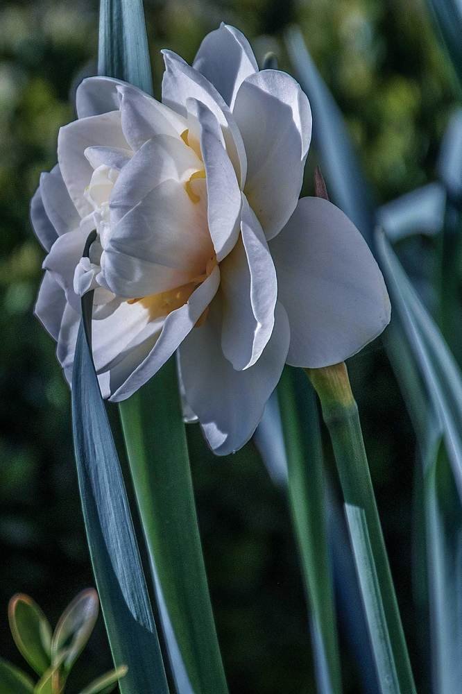 Photograph by Galina Rashap