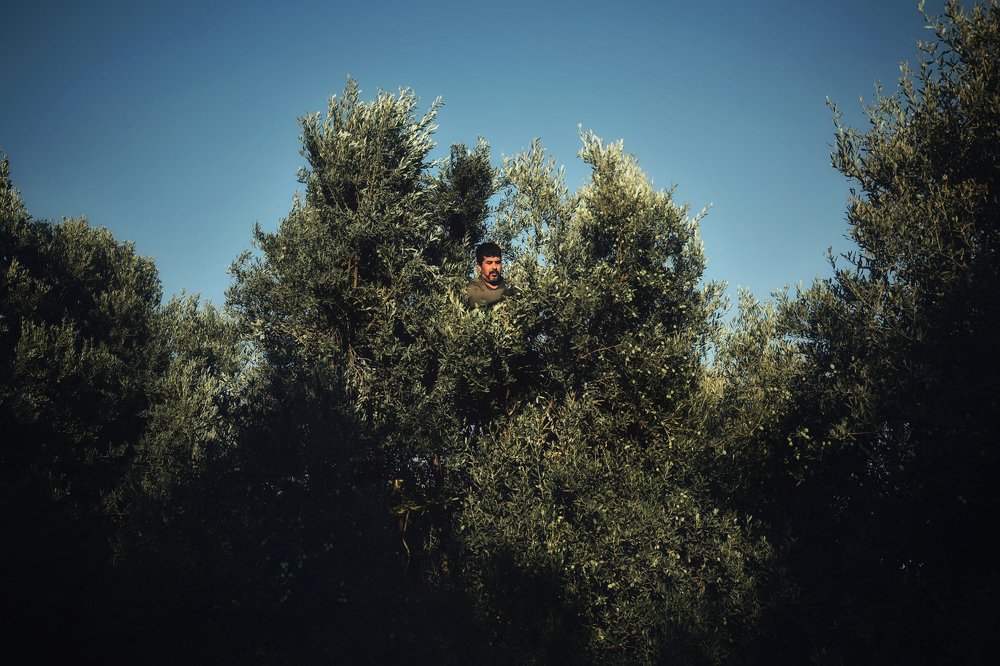 Photograph by Bahram Bayat