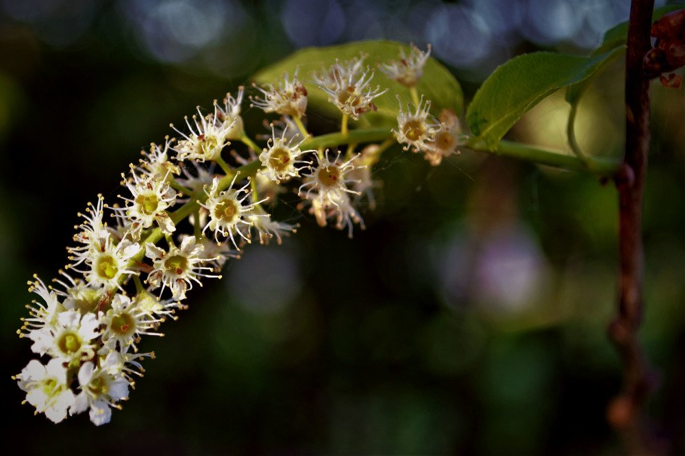 Photograph by Александра Коновалова