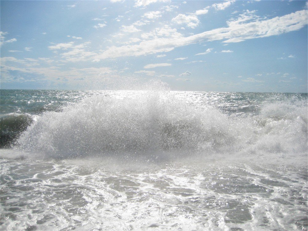Photo #3695491