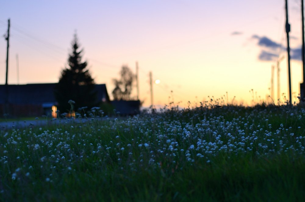 Фотография автора Елена