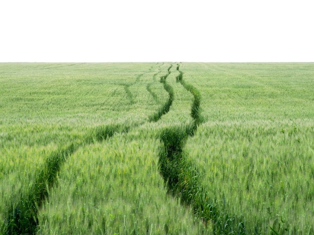 Photograph by Степанов Евгений