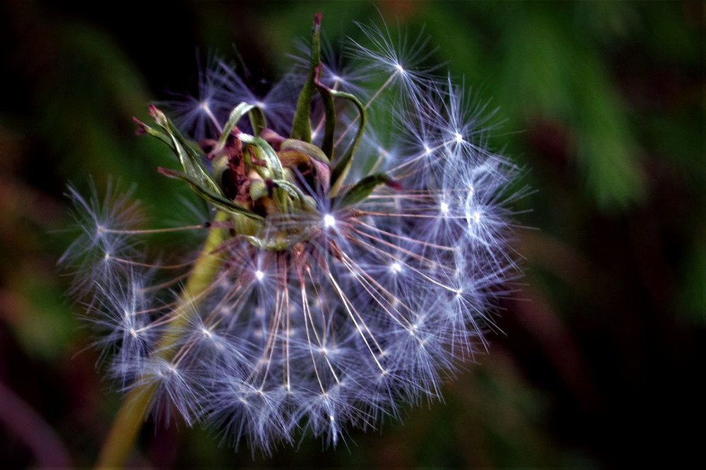 Photograph by Александра Коновалова