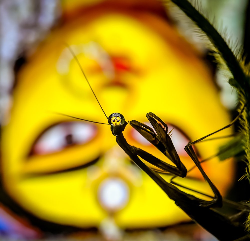 Photograph by Abhishek Manna