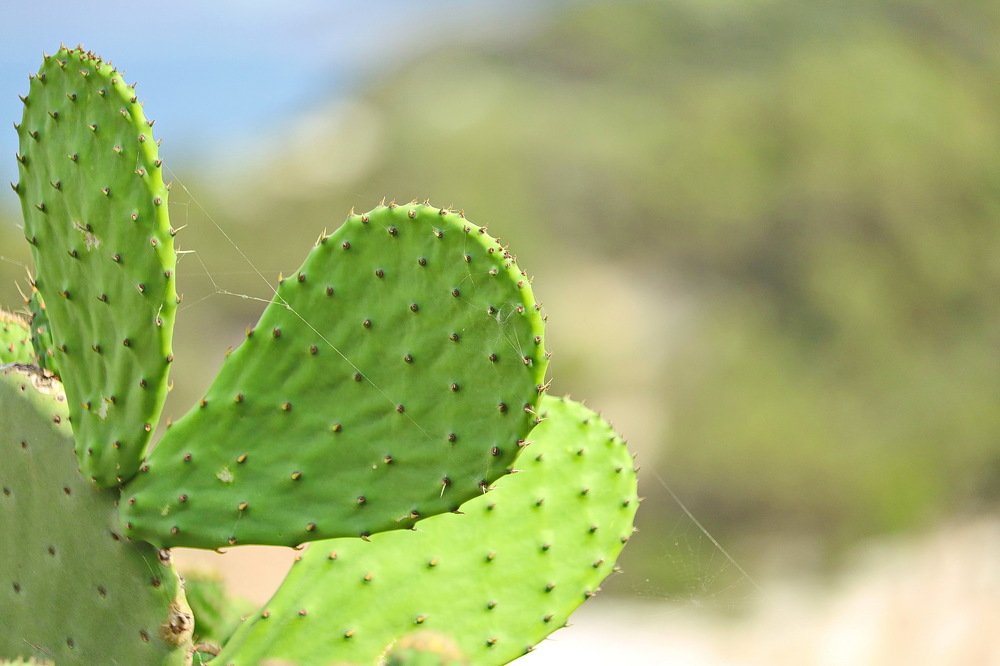 Photograph by Vangelis Mitrousis