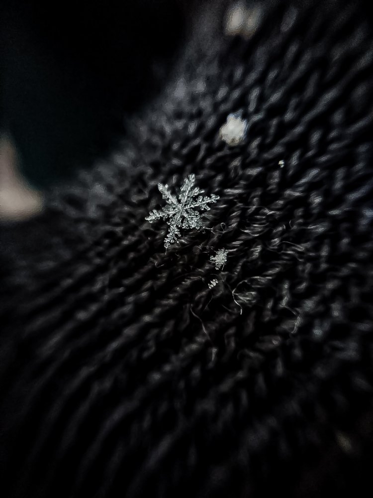 Фотография автора Алина Черняева