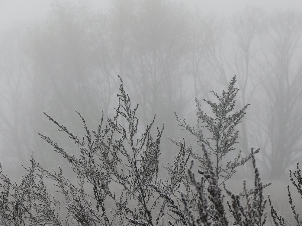 Photograph by Василий