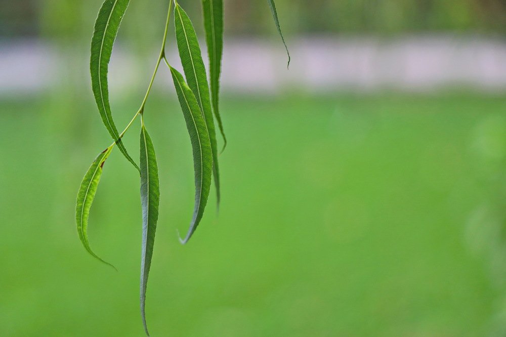 Photograph by Vangelis Mitrousis