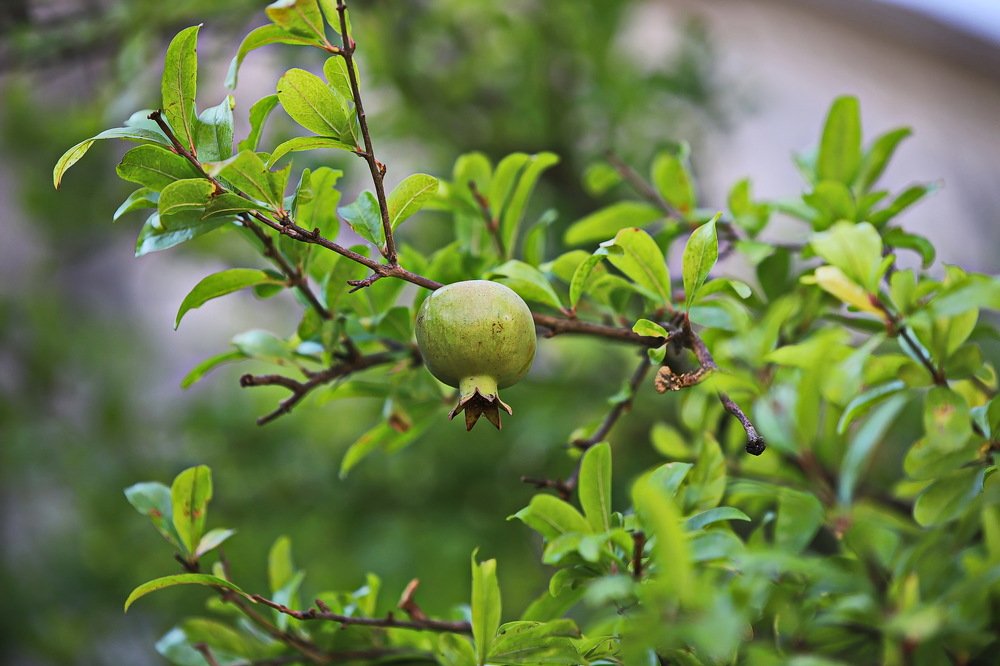 Photograph by Vangelis Mitrousis