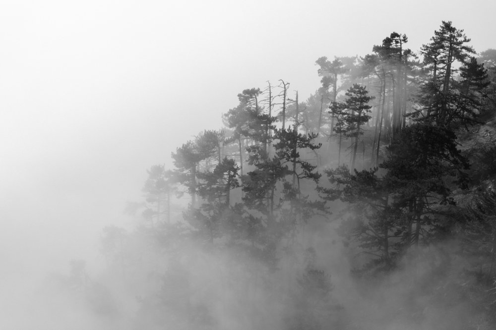 Photograph by Наталия