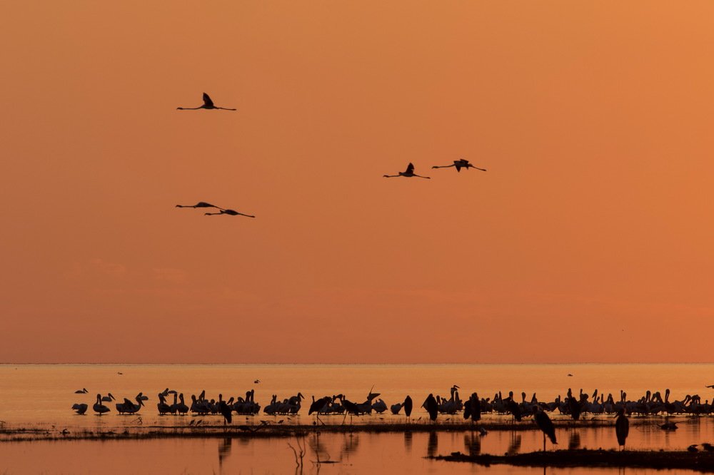 Фотография автора Олег Набровенков