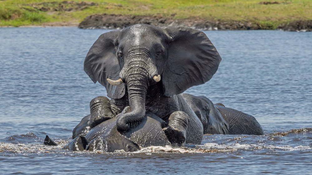 Фотография автора Олег Набровенков