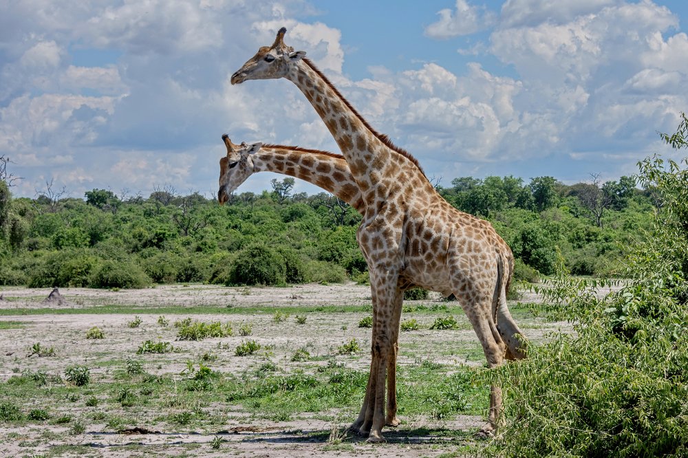 Фотография автора Олег Набровенков