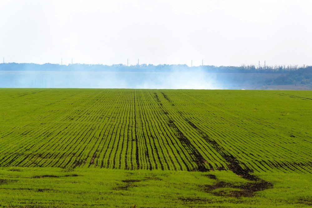 Photograph by Олег Черных