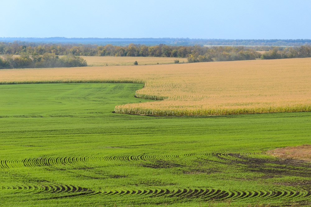 Photograph by Олег Черных