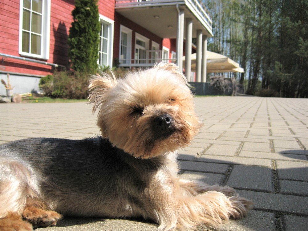 Photo #3695725