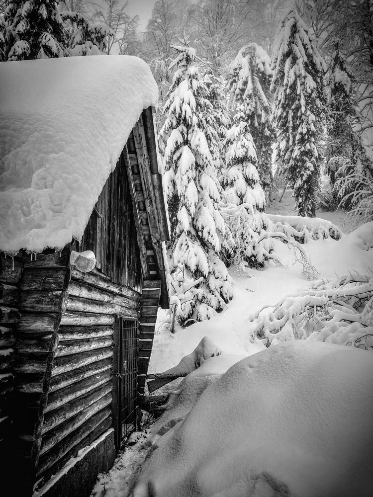 Photograph by Dobrean Constantin Gabriel