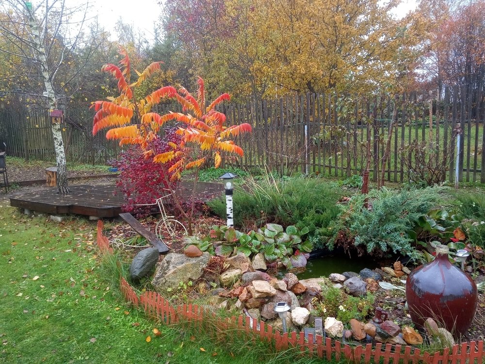 Здравствуй Осень