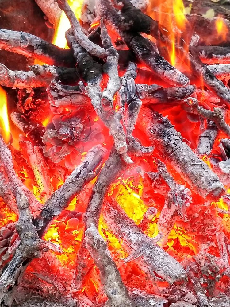 Photograph by Мила