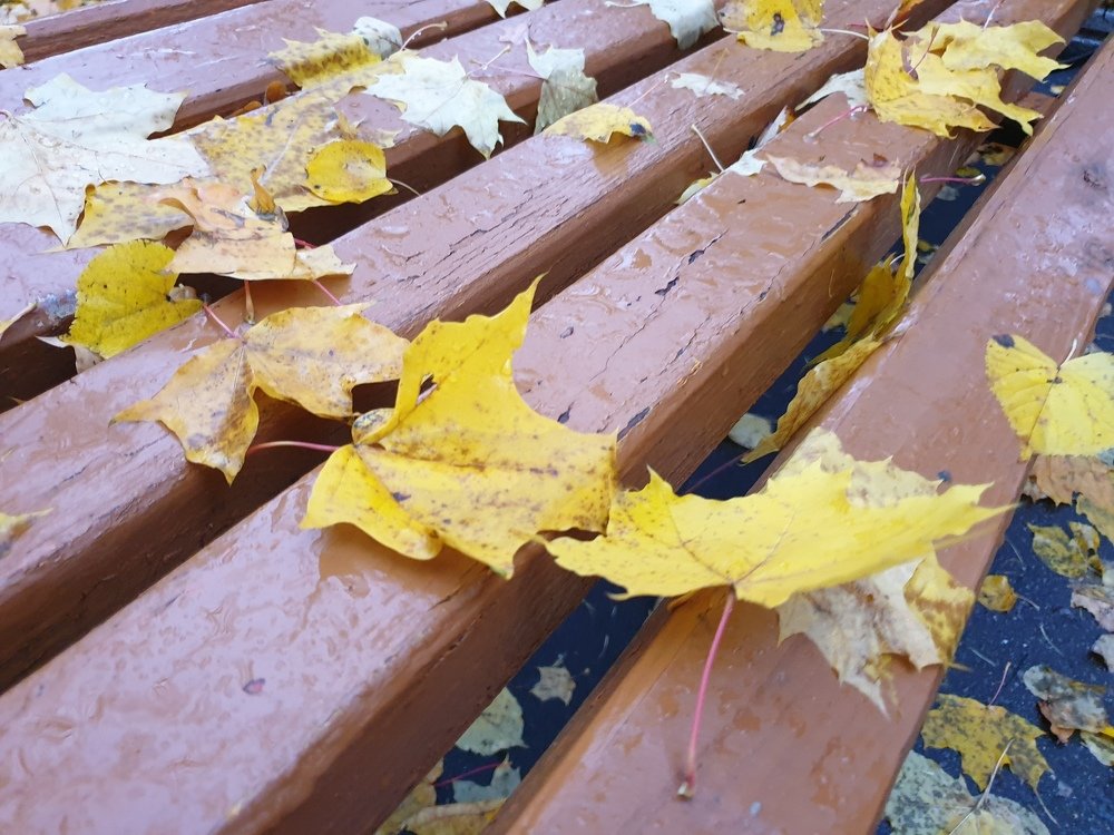 Photograph by mikhail goryachev