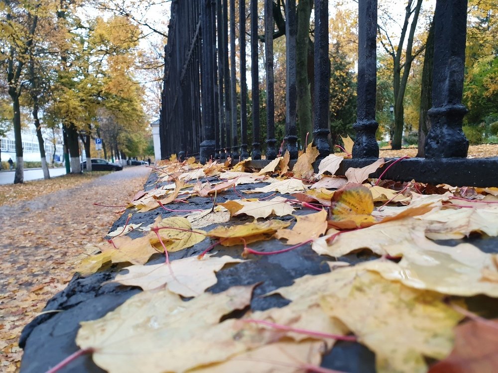 Photograph by mikhail goryachev