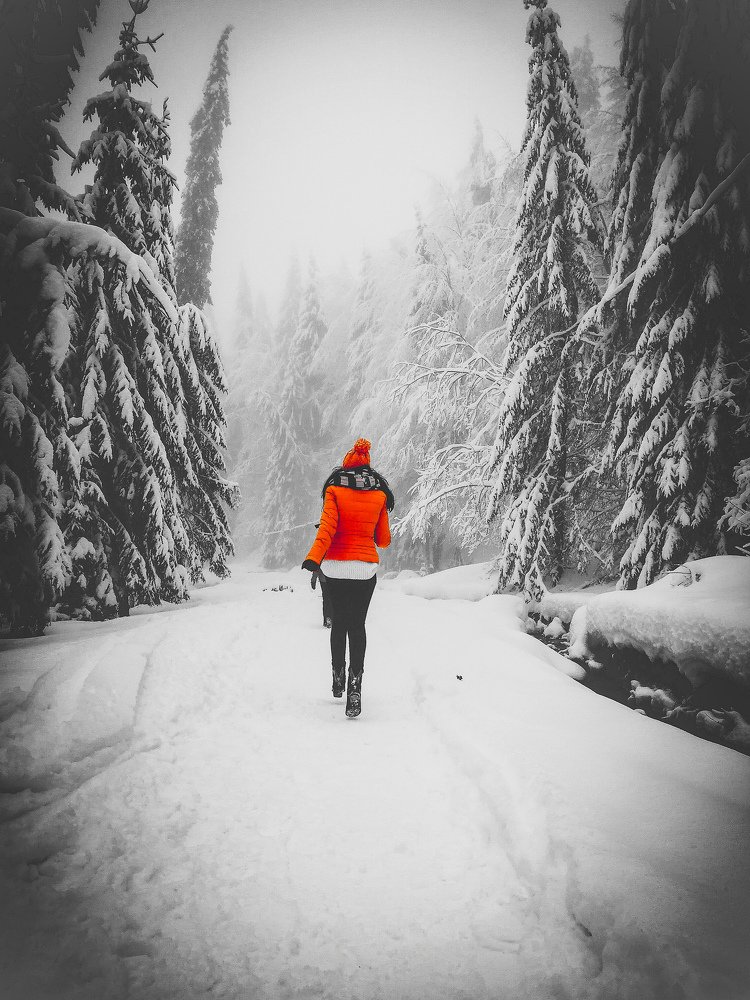 Photograph by Dobrean Constantin Gabriel