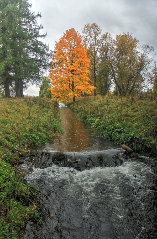 Photograph by Сергей Григорьев