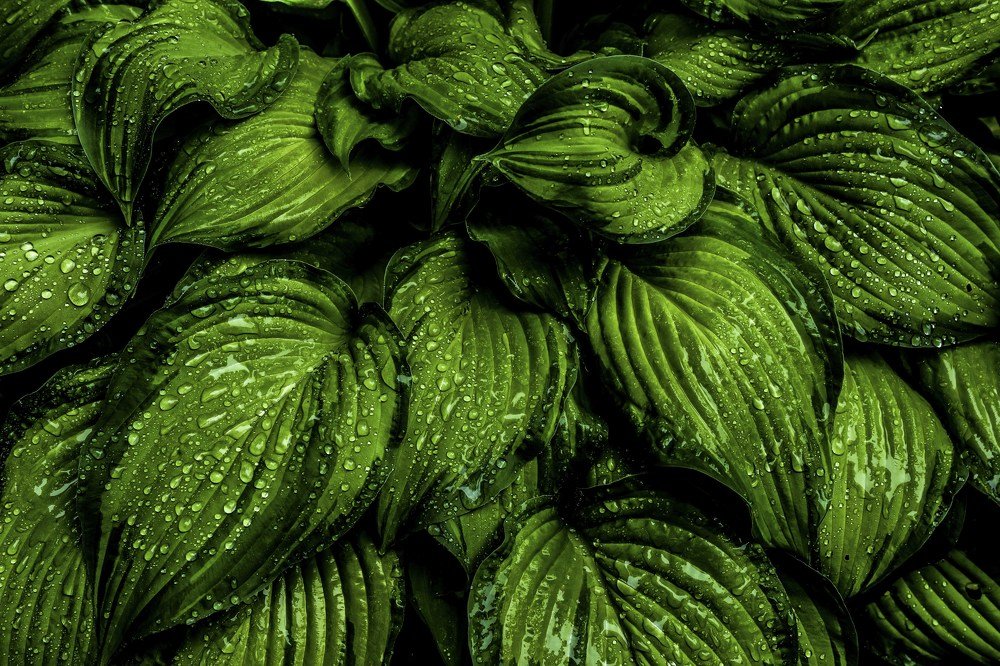 Photograph by Сокол Николай