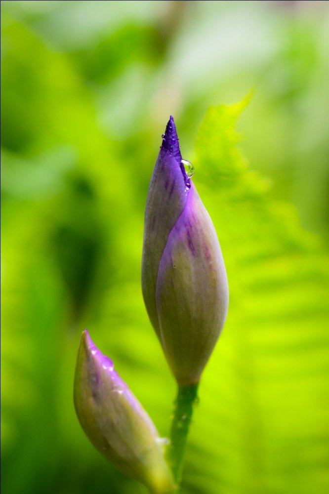 Photograph by Сокол Николай