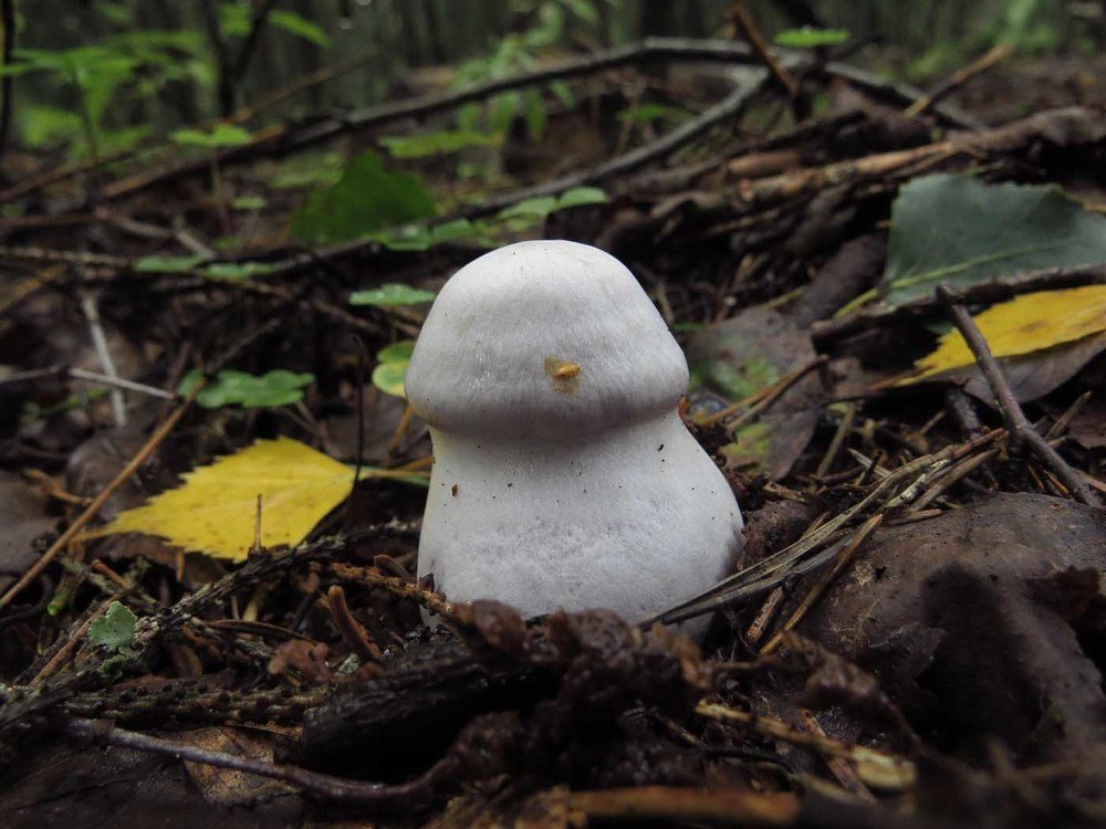 Photograph by Юрий