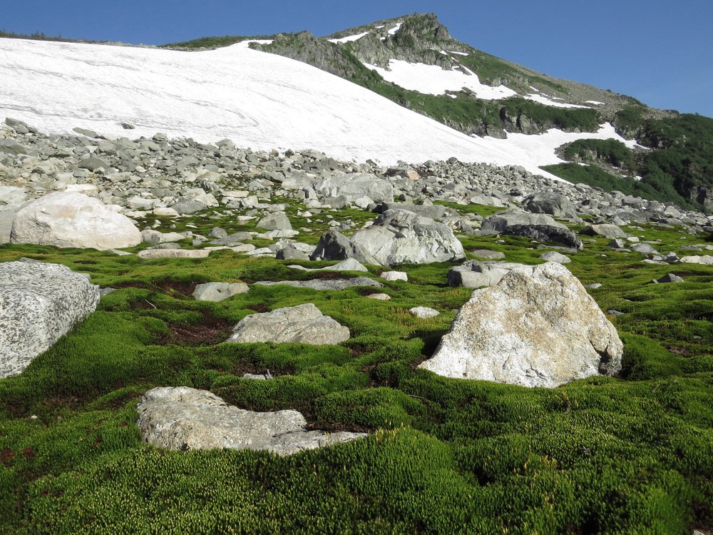 Photograph by Юрий