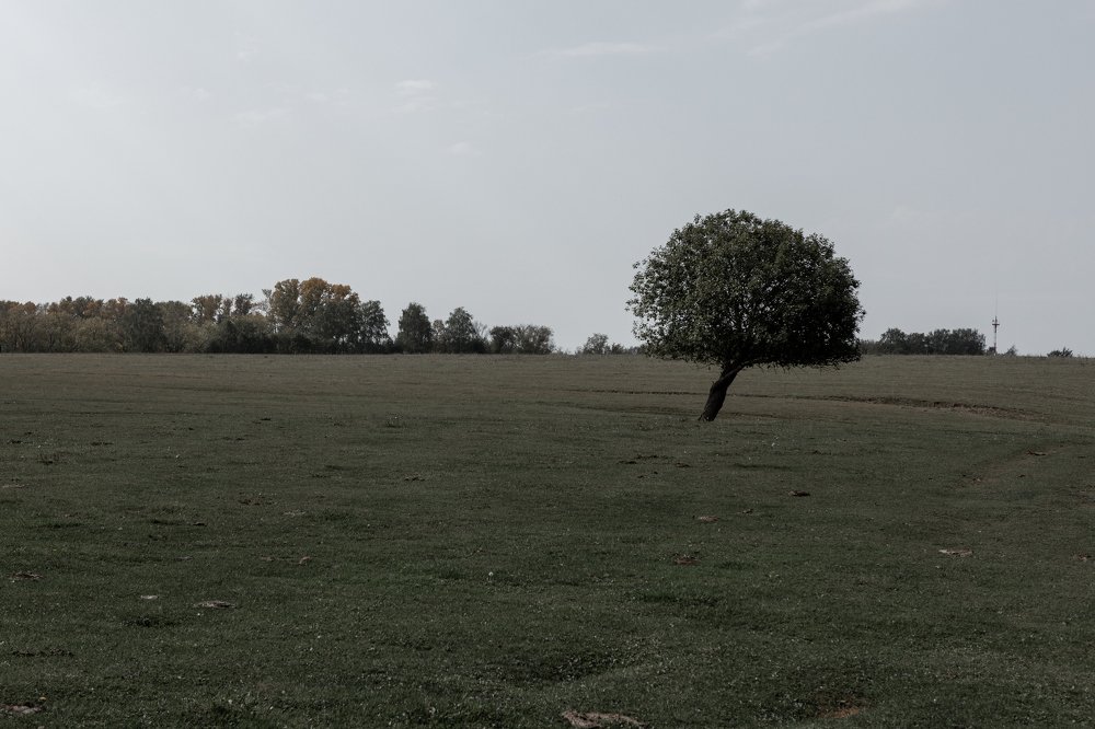 Photograph by Ольга Солуянова