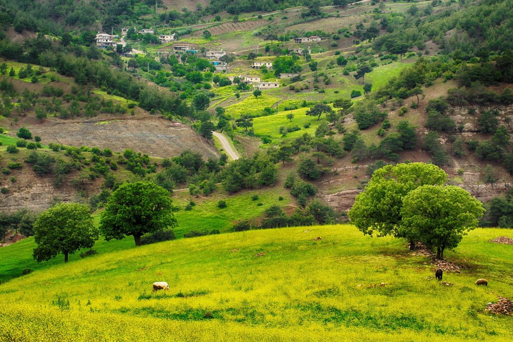 Photograph by Mukerrem Kurtoglu