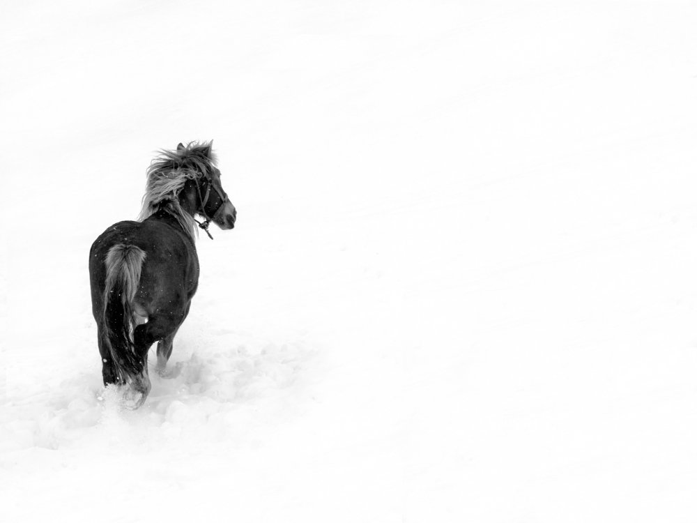 Photograph by Diana Andras