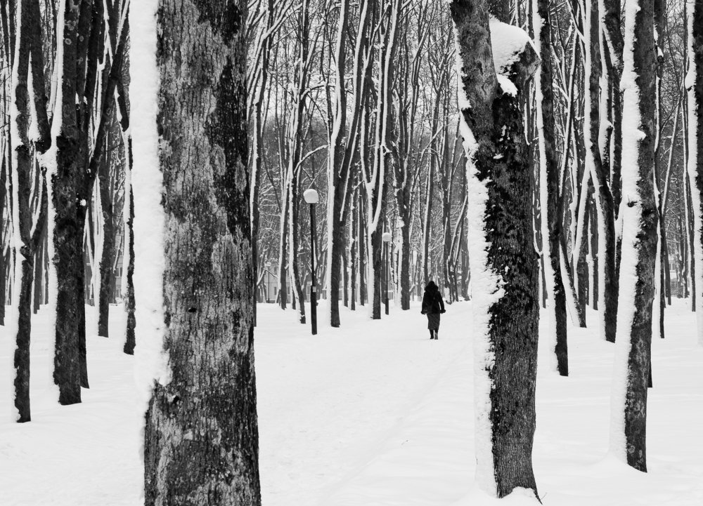 Фотография автора Владимир Ступинский