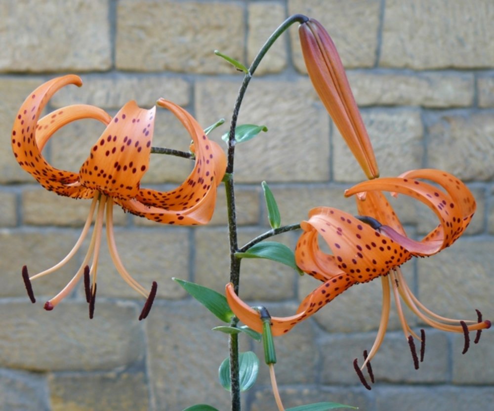 Photograph by Lena Kaulina