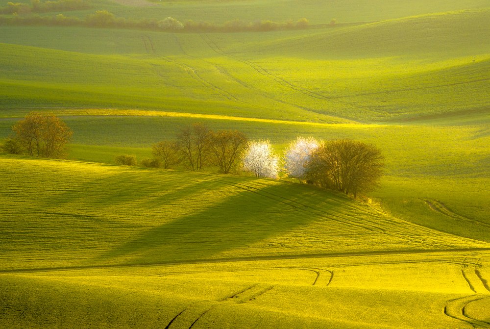 Photograph by ПАВЕЛ