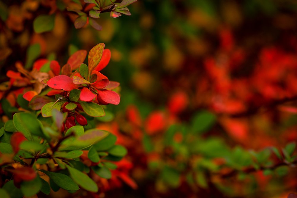 Photograph by Анастасия Донская