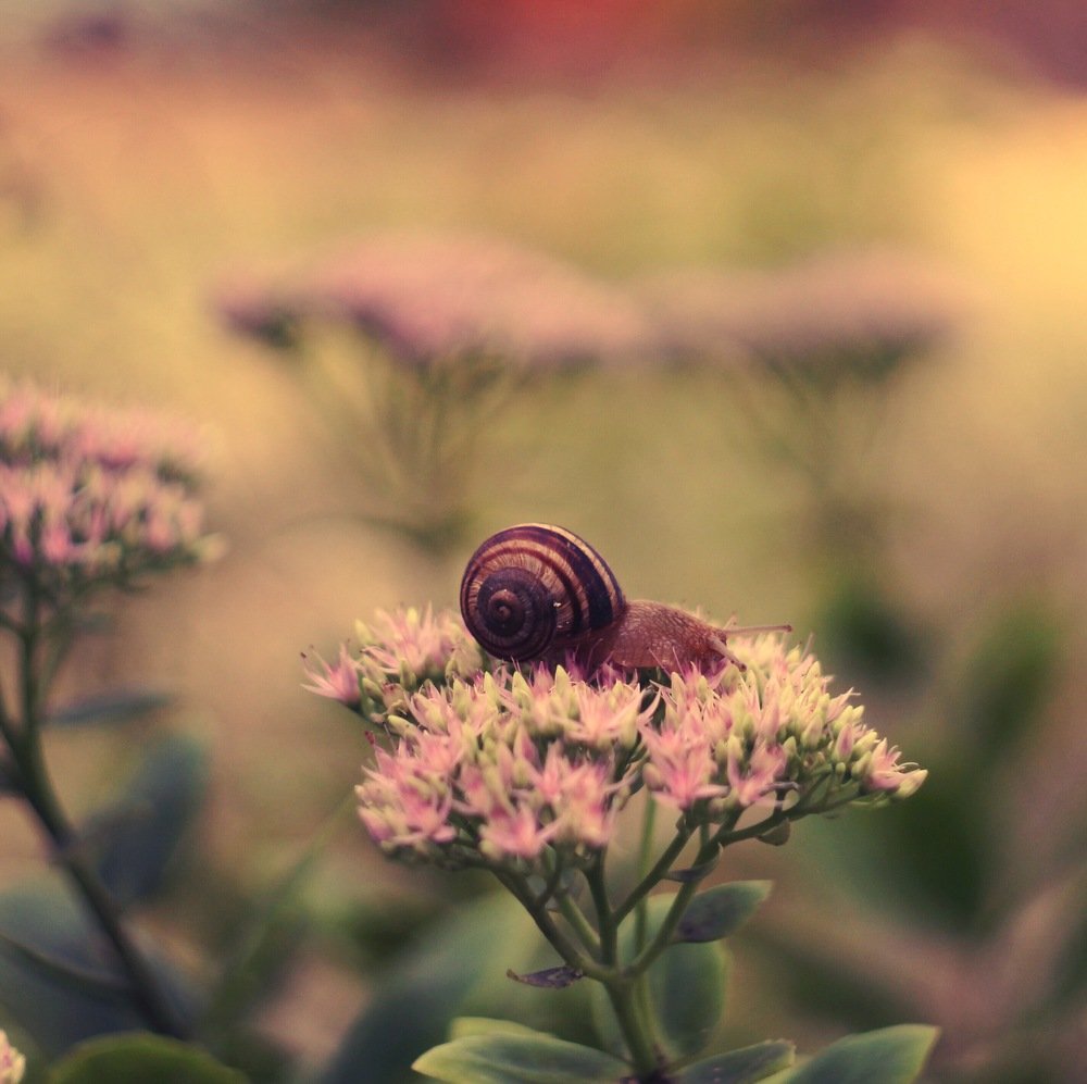 Photograph by Anzhelika Skoropostizhnaya