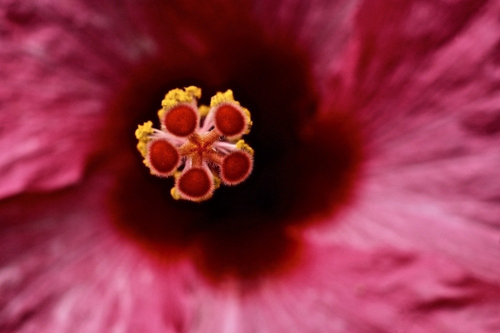 Photograph by Sharel Albor