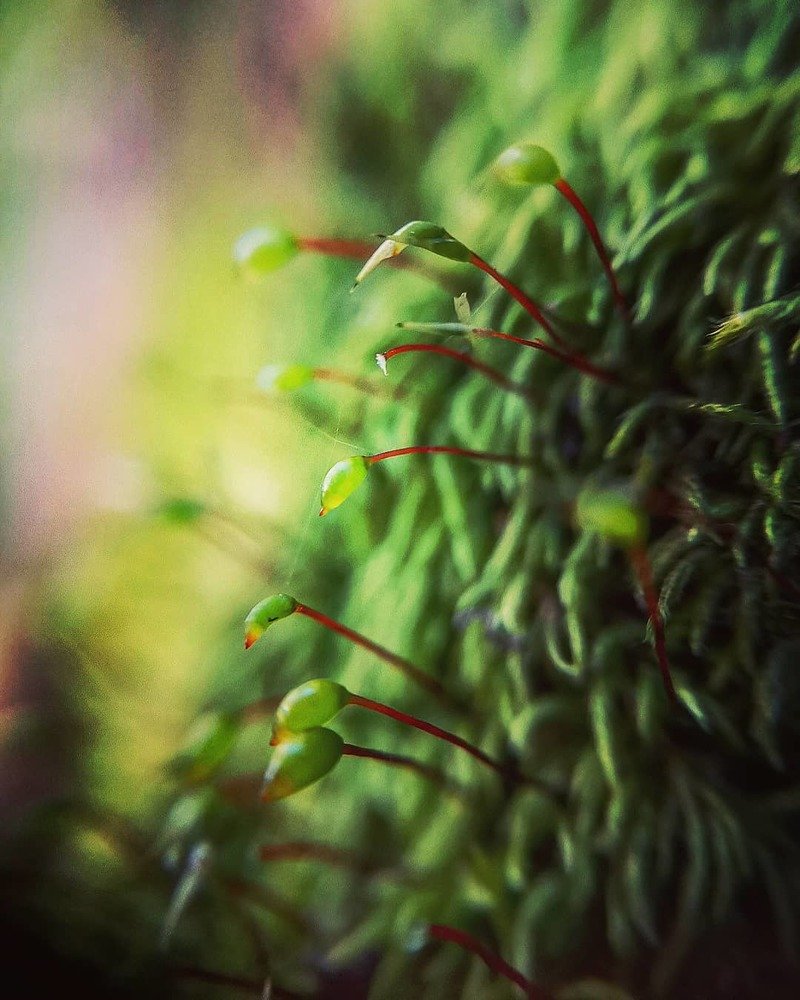 Photograph by Ольга Мажарук