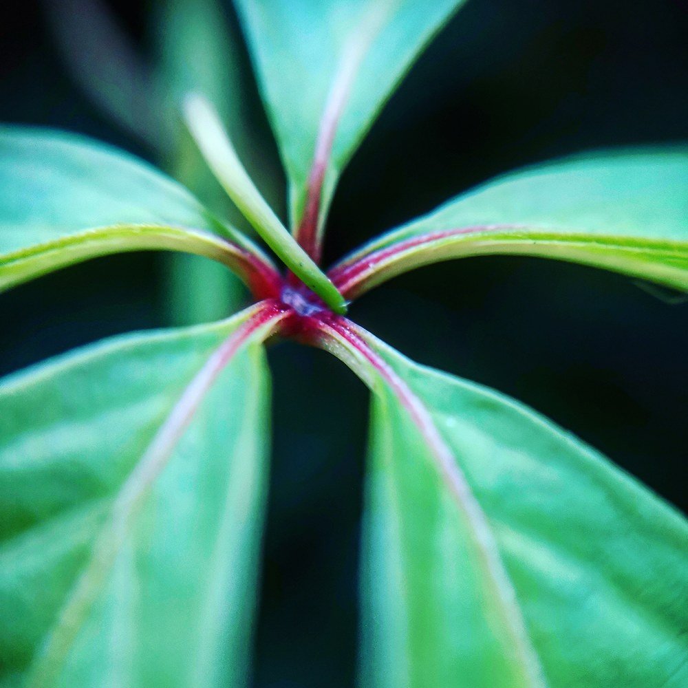 Photograph by Ольга Мажарук