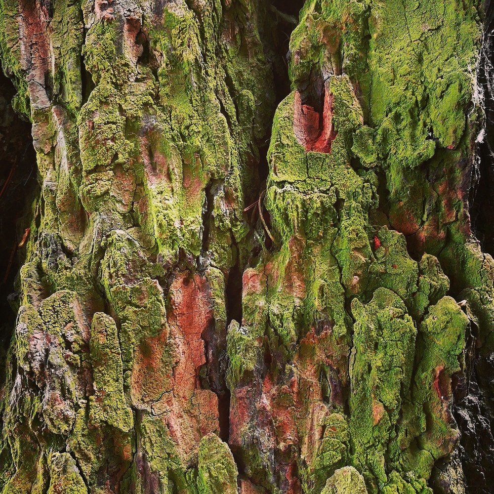 Photograph by Ольга Мажарук