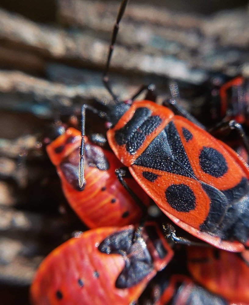 Photograph by Ольга Мажарук