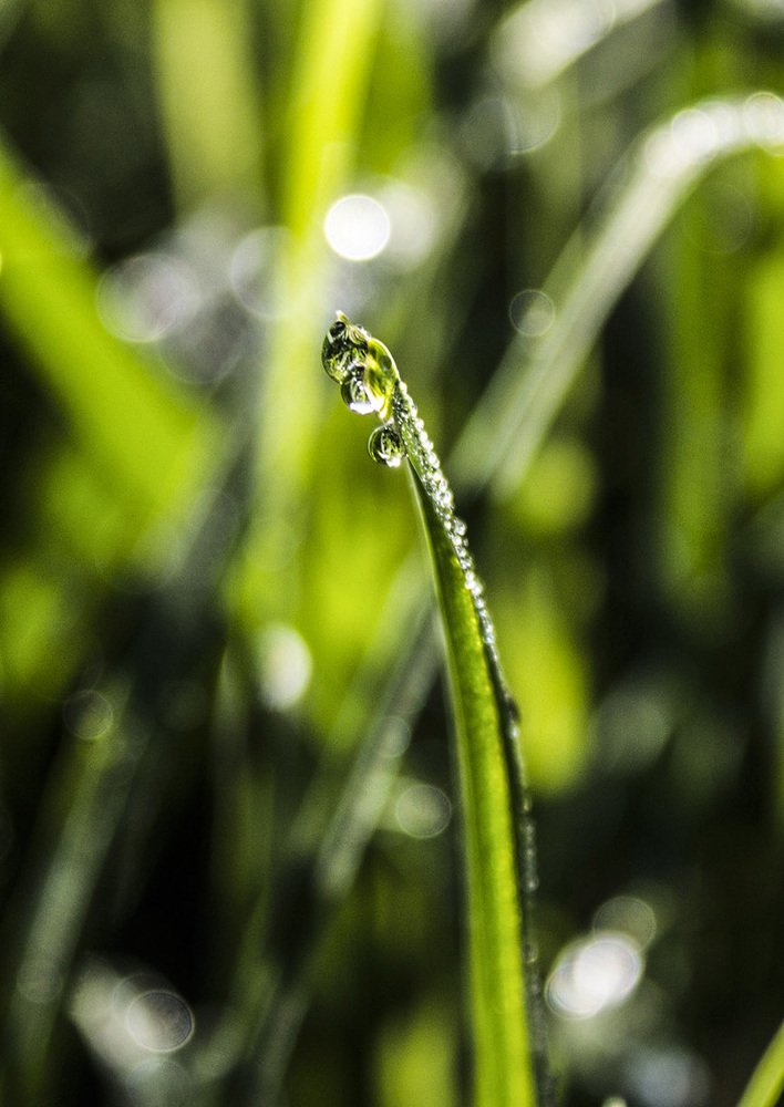 Photograph by Елена Белинская