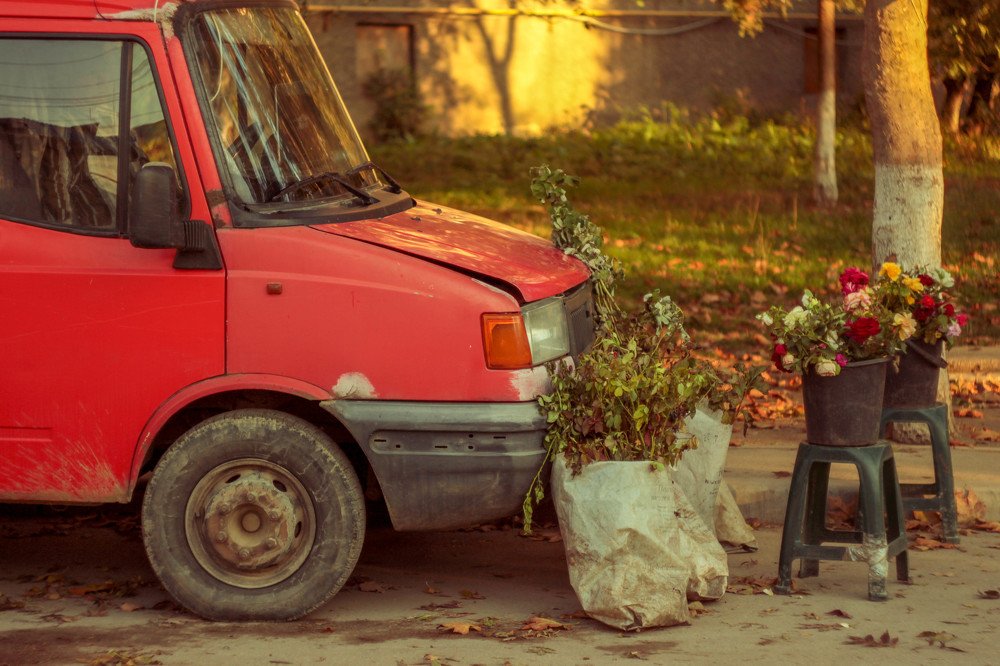 Photograph by Ефимова Анна