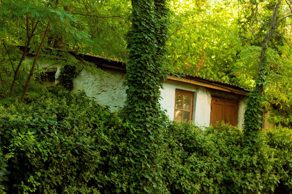 Photograph by Ефимова Анна