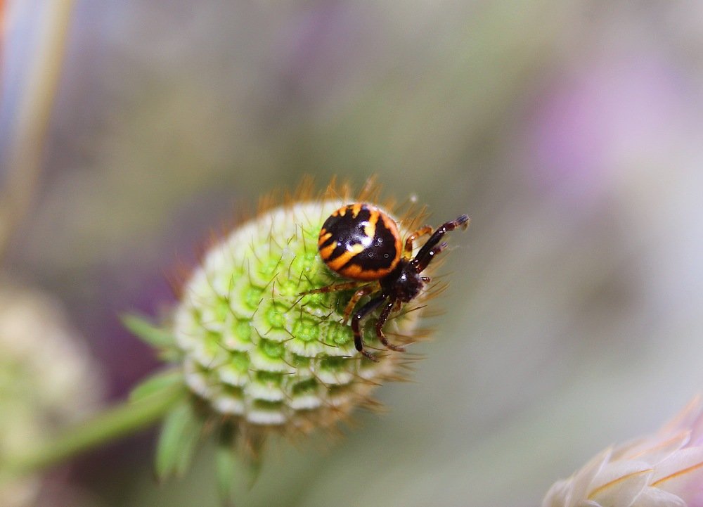 Photograph by Anzhelika Skoropostizhnaya