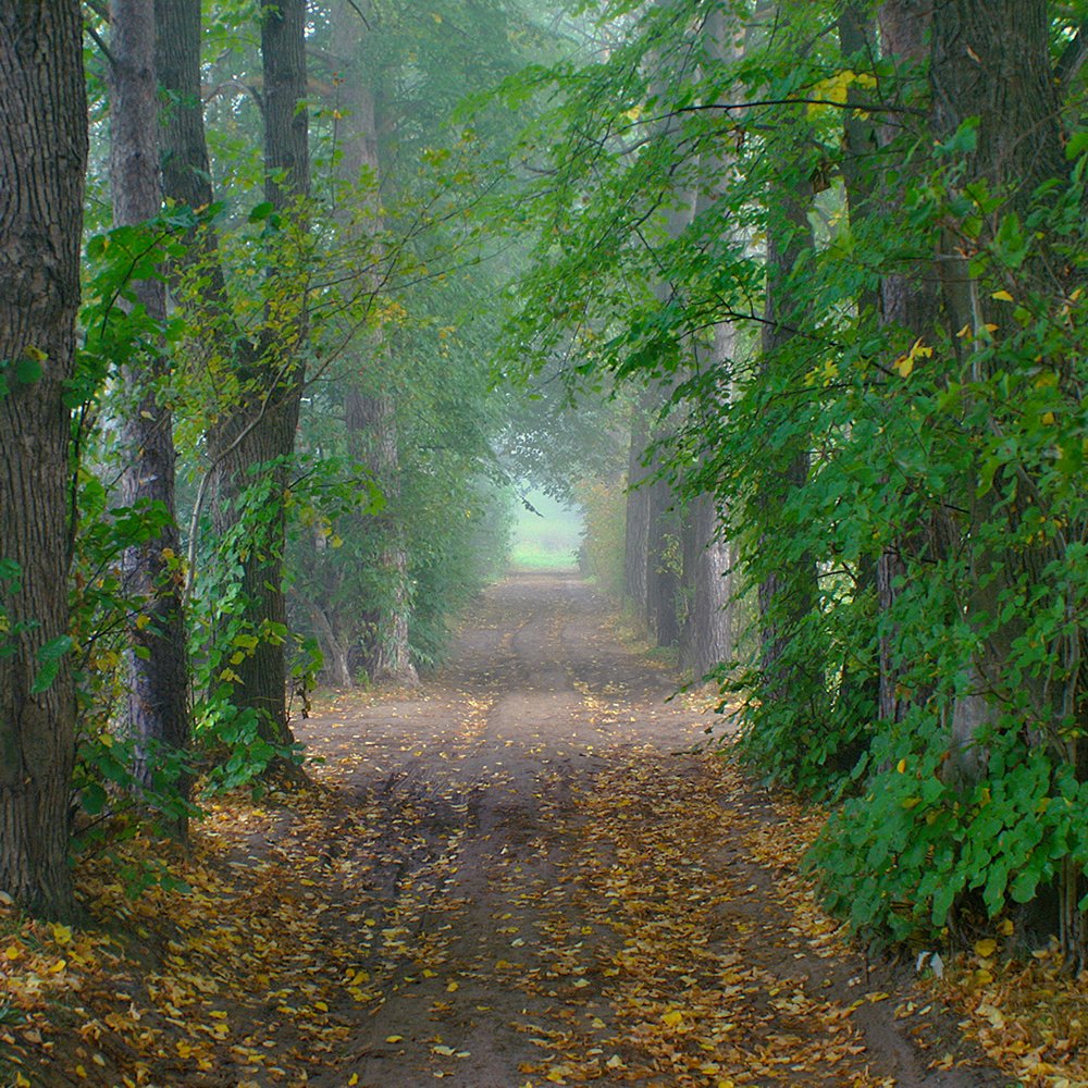 Photograph by Людмила Ефремова