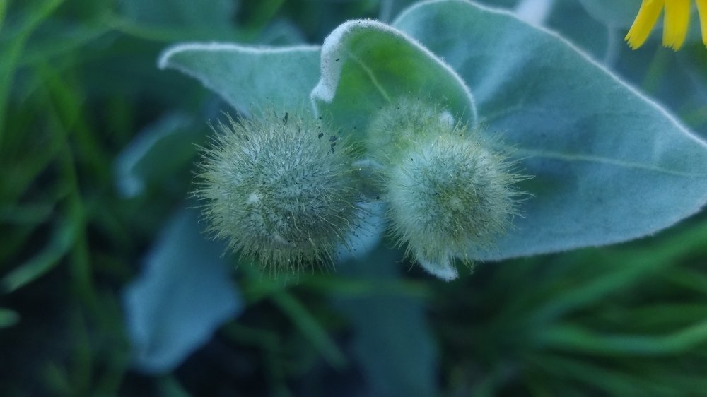 Photograph by Anass Aouissi